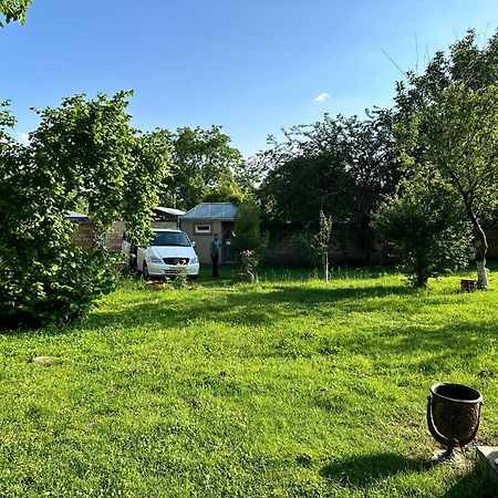 Villa In Qabala Exteriér fotografie